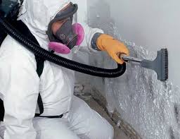 Mold Remediation for Rental Properties in Gates Mills, OH